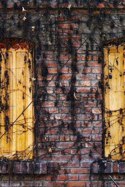 國際數(shù)學(xué)奧林匹克競賽